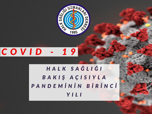 Halk Sağlığı Bakış Açısıyla Pandeminin Birinci Yılı