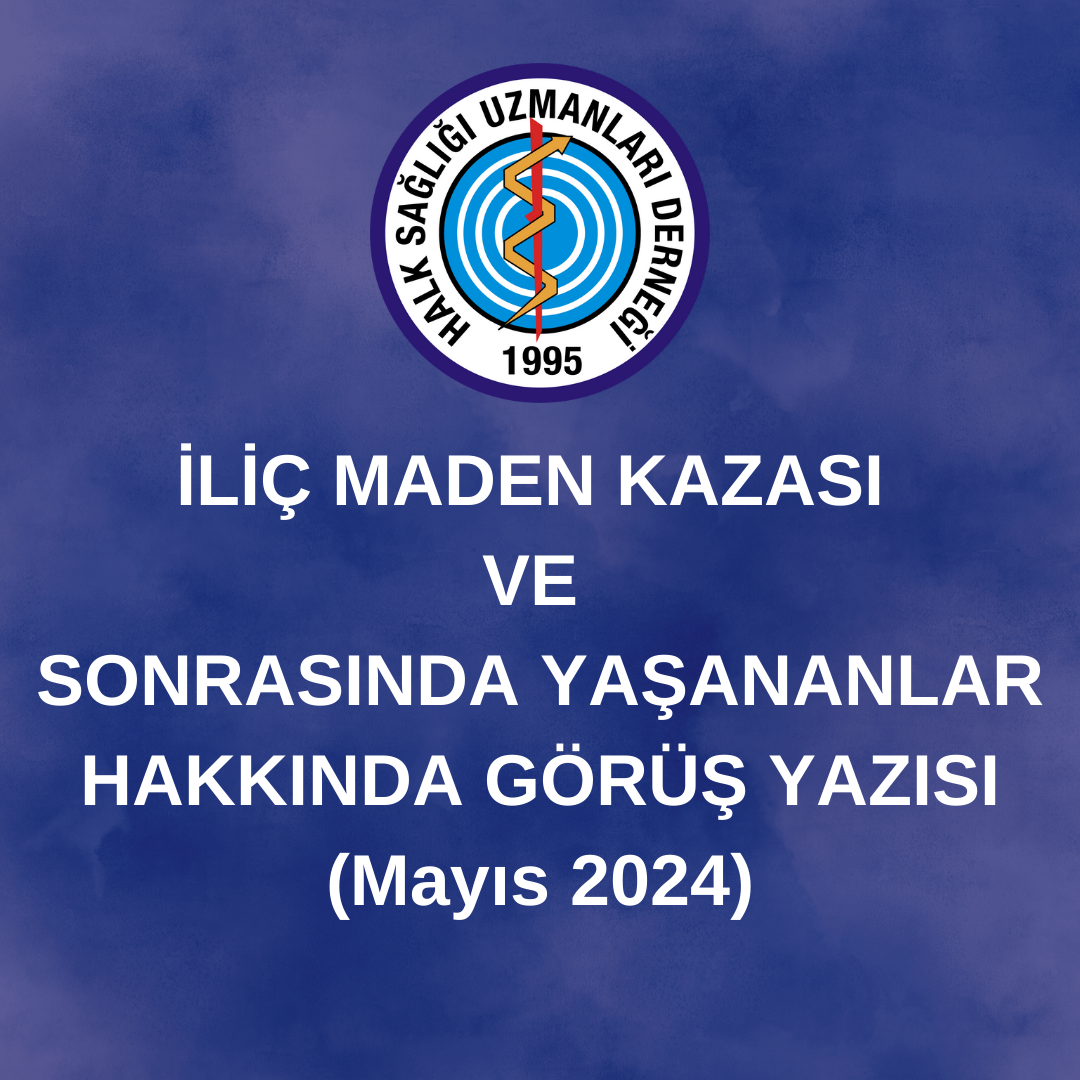 İLİÇ MADEN KAZASI VE SONRASINDA YAŞANANLAR HAKKINDA GÖRÜŞ YAZISI (Mayıs 2024)