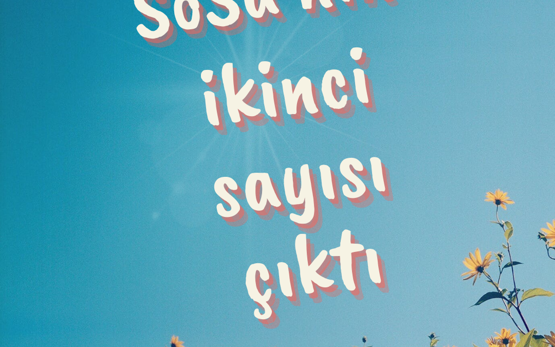 HASUDER Sosyal Bilimler ve Sağlık Bülteni (SoSa) Bahar 2022 Sayı 2