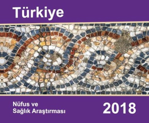 Türkiye Nüfus ve Sağlık Araştırması 2018 Ne Söylüyor?