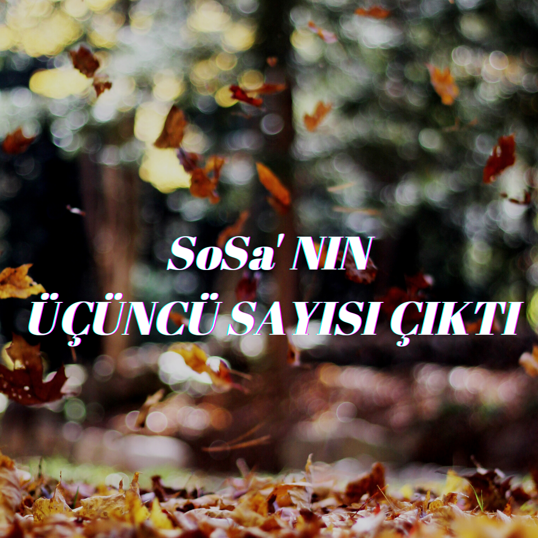 HASUDER Sosyal Bilimler ve Sağlık Bülteni (SoSa) Sonbahar 2022 Sayı 3